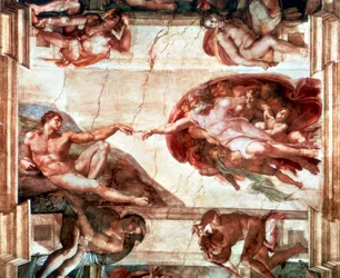 Adams skapelse, 1508-1512