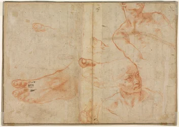 Figurstudier for det sixtinske tak verso, 1510-11.