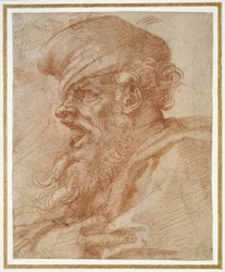 Hodet til en skjegget mann som roper, ca. 1525 (rødt kritt på papir)
