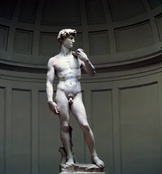 Michelangelos David, 1500-tallet