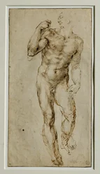 Mannlig nakenfigur, sett forfra, ca. 1502–1506 …