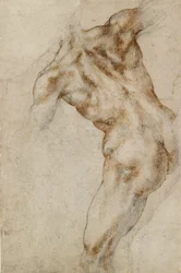 Naken hann Torso, tidlig på 1500-tallet