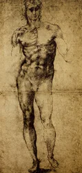 Studie for en mannlig naken, Michelangelo Buonarroti (1475-1564), tegning, Paris, Louvre-museet