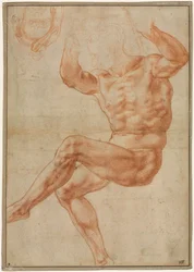 Studie for naken ungdom over profeten Daniel recto, 1510-1511.