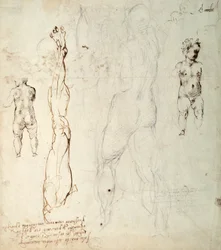 Studie av Kristusbarnet og en anatomisk tegning med notater (svart kritt og brunt blekk på papir) (verso)