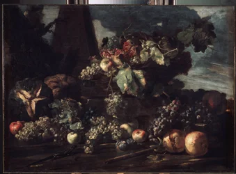 "Stilleben med druer" Maleri av Michelangelo Pace da Campidoglio (1610-1670) 1650-1660 Mål 98x134 cm Eremitagemuseet, St. Petersburg