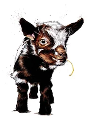 Babygeit på hvitt, 2020