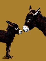 Eselmor og baby på Golden Yellow, 2020