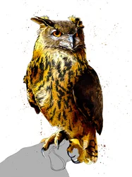 Ørneuglen på hvitt, 2019