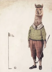 Alpaca Golfklubb