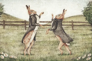 Herrekamp