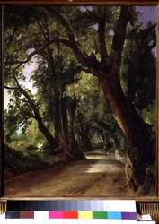 Utsikt ved Albano nær Roma (Italia). (Utsikt i Albano nær Roma). Beskrivelse av en grusvei mellom ruvende trær. Maleri av Mikhail Ivanovich Lebedev (1811-1837), olje på lerret, landskap fra 1800-tallet. Statens Tretyakov-galleri, Moskva.