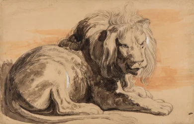 Rubensløven, ca. 1840 (kritt, wc og gouache på brunt papir)