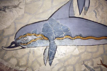 Minoisk kunst. «Delfinfresken». Fresken dekorerte veggen eller gulvet i en sal over dronningens megaron. Freske rekonstruert fra fragmenter av originalverket funnet i Knossos (1600 - 1450 f.Kr.). Arkeologisk museum, Heraklion, Kreta.