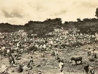 Building an Empire in the fascist age: Abyssinian Market, 09/05/1936 (s/hv-bilde)