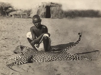 'Building an Empire' i den fascistiske tidsalderen: innfødte som viser en leopard, 09/05/1936 (s/hv-bilde)