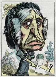 Allegori av "" stemor "" (Belle mere) i "" Le Trombinoscope"" av Touchatout, karikatur av B. Moloch fra 1882 (1849-1909). Privat samling.