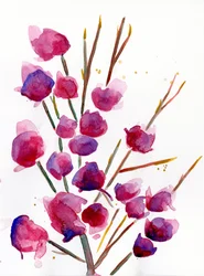 Magnolia, 2022 (akvarell på Langton, 300 gsm kaldpresset papir)