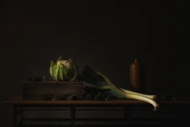 «Dark Harvest» – stilleben