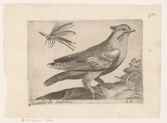 Pestvogel (Bombycilla garrulus) Colonbo indiano (tittel på objekt) Vogels (serietittel)