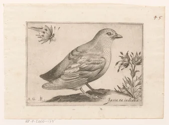 Vogel Passra Indiana (title on object) Vogels (series title)   1364342   no       norwegian Successfully Translated  Original: Paard en wagen voor een huis Translat: Paard en wagen voor een huis 1372641 no norwegian Successfully Translated Original: The Tr