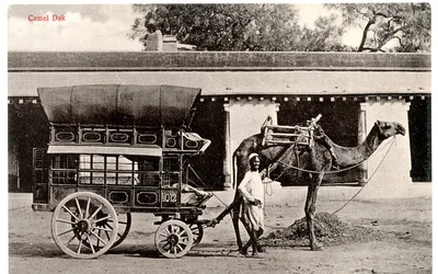 Camel Dak, ca. 1911-12 (sepia-bilde)