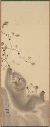 Monkey som henger på en gren