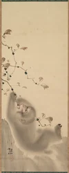 Monkey som henger på en gren, 1780.