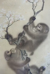 Apekatter i et blomstrende kirsebærtre, 1 av 2, Mori Sosen, Japan, Edo-perioden, tidlig 1800-tall, blekk og farge på silke - Arthur M. Sackler Museum, Harvard University - DSC01127