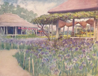 En iris-hage, 1903