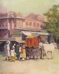 En innfødt oksevogn, 1905
