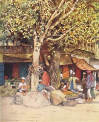 Midt på dagen, Delhi, 1905