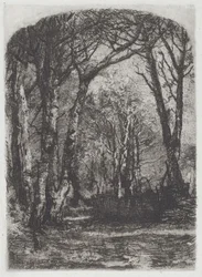 Woods [Bosco]