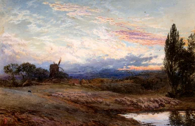 Sauer vanner ved solnedgang (akvarell)
