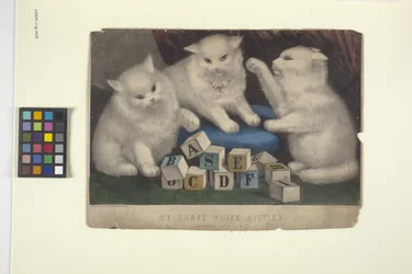 Mine tre hvite kattunger (håndfarget litografi)