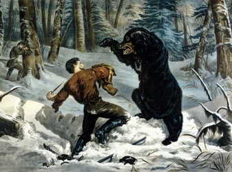 The Life of Trappers (Professional Hunters) i Canada: En jeger blir angrepet av en Grizzly Bear. Illustrasjon av Yves og Currier.