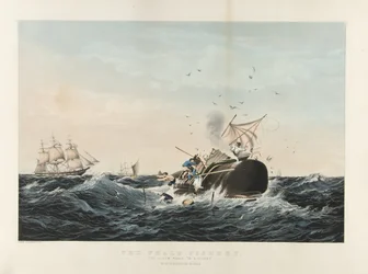 The Whale Fishery: Sperm Whale 'In a Flurry' (fargelitografi)