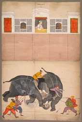 To elefanter som kjemper i en gårdsplass før Muhammad Shah, ca. 1730-40.