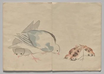 Scene fra The Kōrin Picture Book (bind 1)