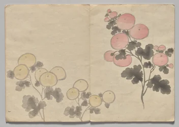 Scene fra The Kōrin Picture Book (bind 1)