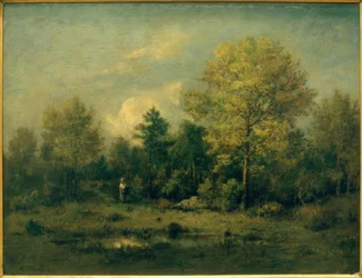Landskap med en dam i skogen