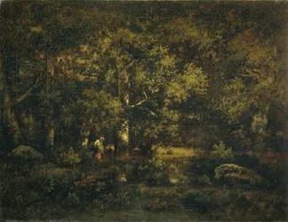 Skogen i Fontainebleau