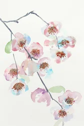 Delikate rosa blomster