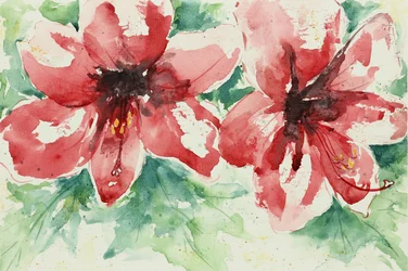Levende røde blomster