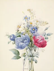 En rose, anemone, Mignonette og tusenfryd (wc og gouache på vellum)