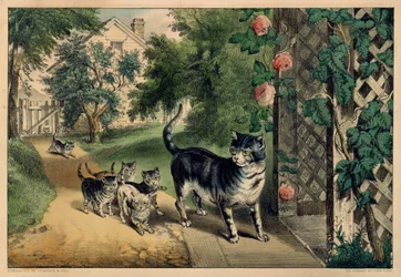 Kattens hjemkomst, 1874-78.