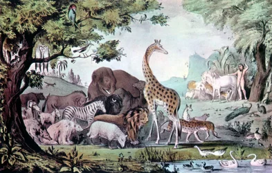 Adam navngir skapningene, 1847.