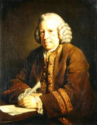 Portrett av en mann som skriver (olje på lerret)