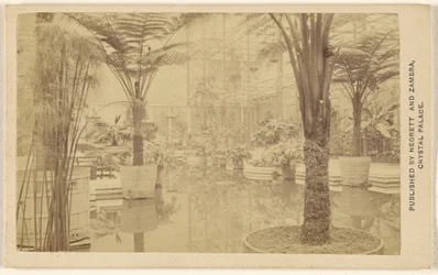 Trofeer [plantevekster, interiør på Crystal Palace]