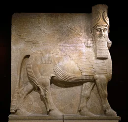 Bevinget okse fra domstol VIII ved palasset til kong Sargon II, Khorsabad, 721-705 f.Kr. (gips?)